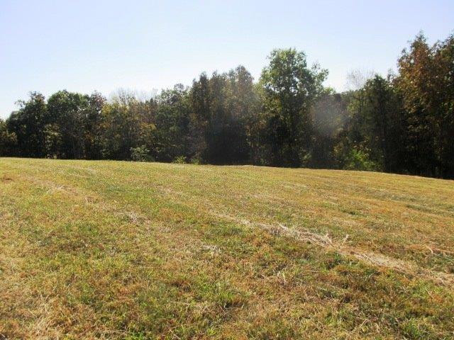 0 Middleton Road Williamstown, KY 41097 - Photo 12 of 13 Gallery Image 12