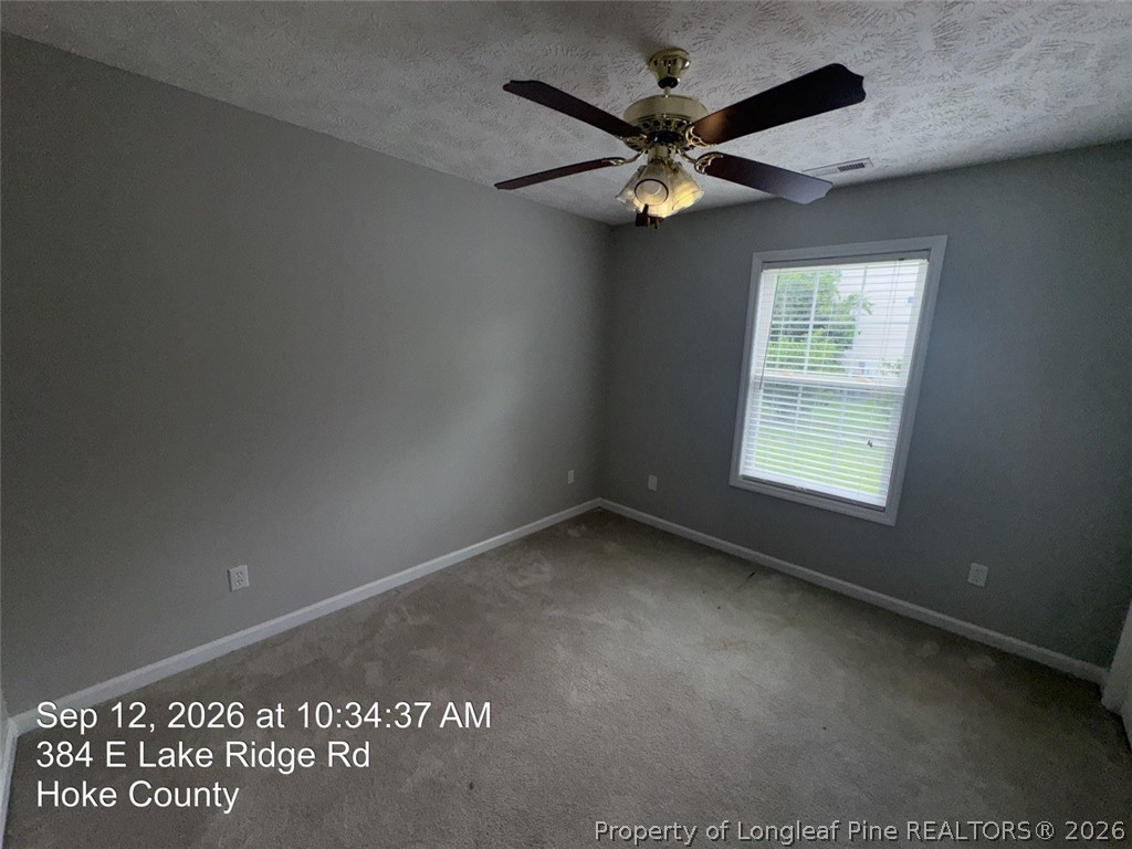 384 East Lake Ridge Road Raeford, NC 28376 - Photo 15 of 22 Gallery Image 15