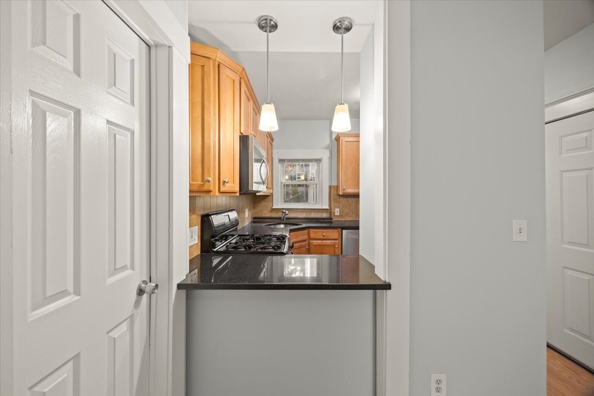 36 Telegraph Street, Unit 1 Boston, MA 02127 - Photo 35 of 37 Gallery Image 35