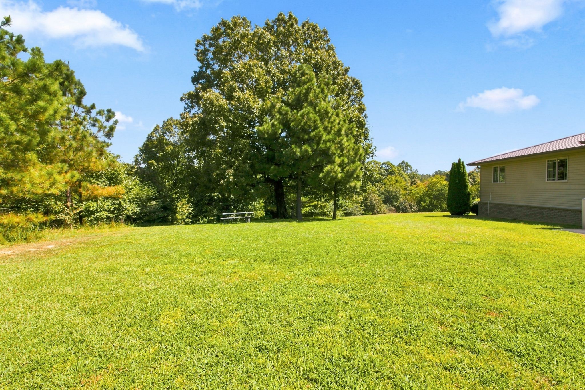 6649 Rabbit Creek Road Buchanan, TN 38222 - Photo 25 of 26 Gallery Image 25