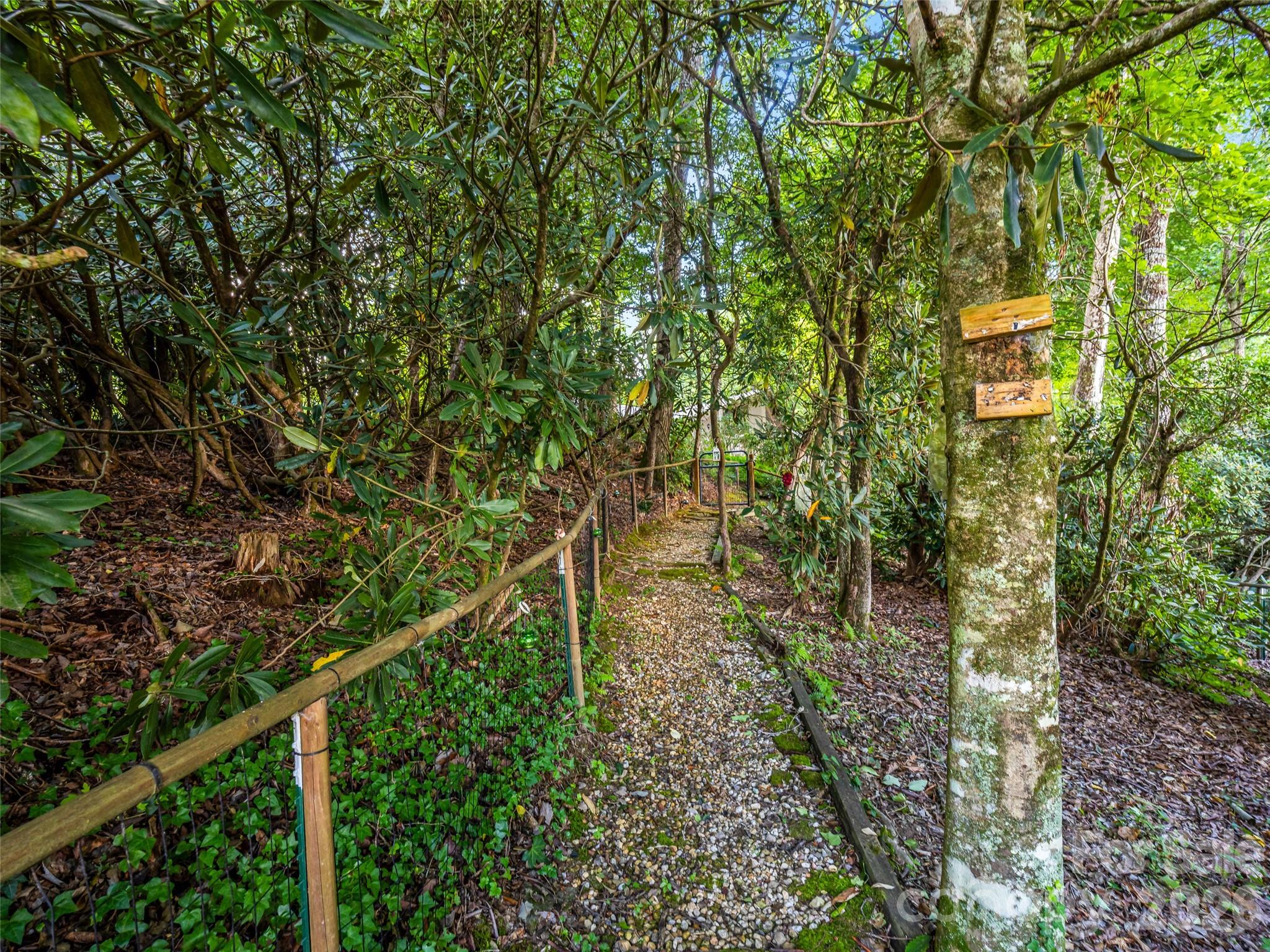 252 Middle Mt Road Pisgah Forest, NC 28768 - Photo 40 of 48 Gallery Image 40