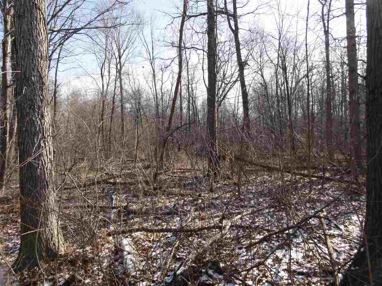 Brown Road Reading, MI 49274 - Photo 16 of 30 Gallery Image 16