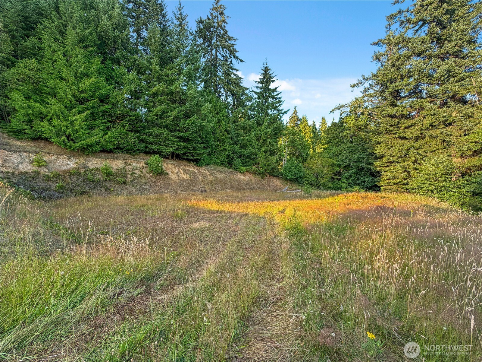26 Riverview East Road Cathlamet, WA 98612 - Photo 15 of 31 Gallery Image 15