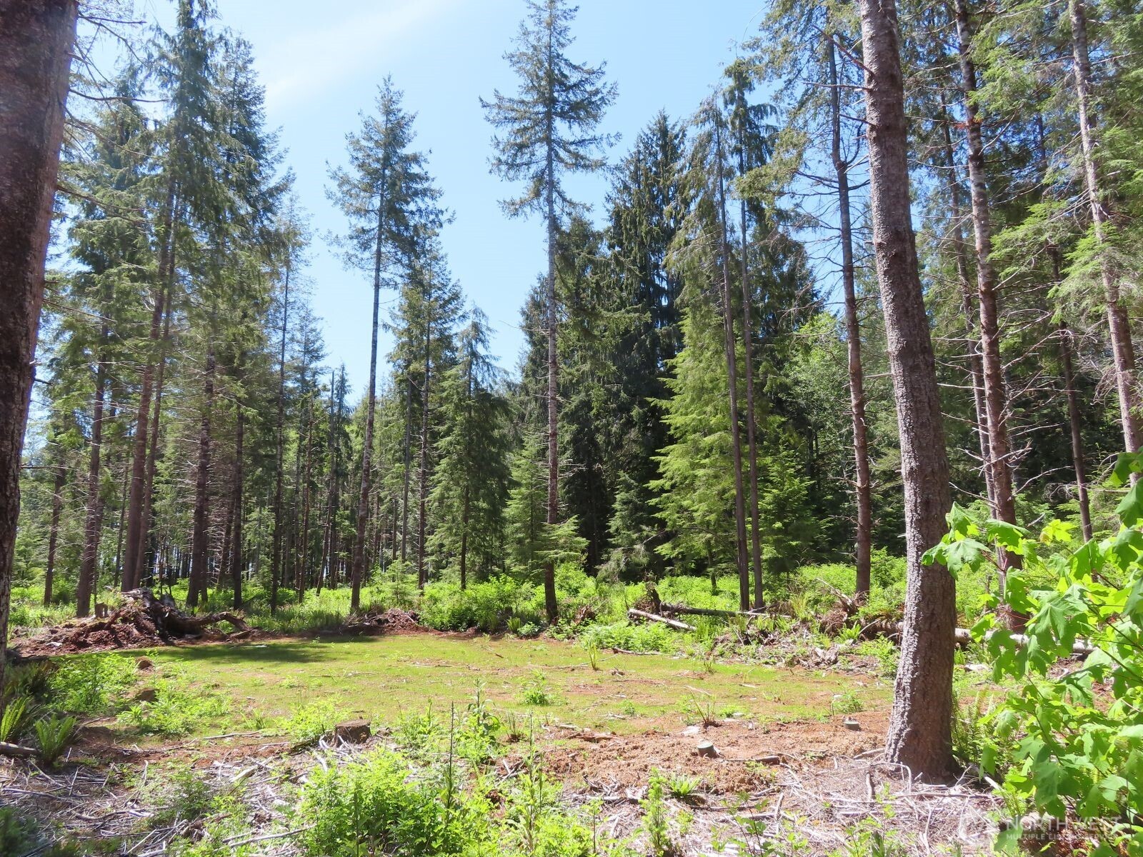 1515 Kirkpatrick Road Hoquiam, WA 98550 - Photo 11 of 39