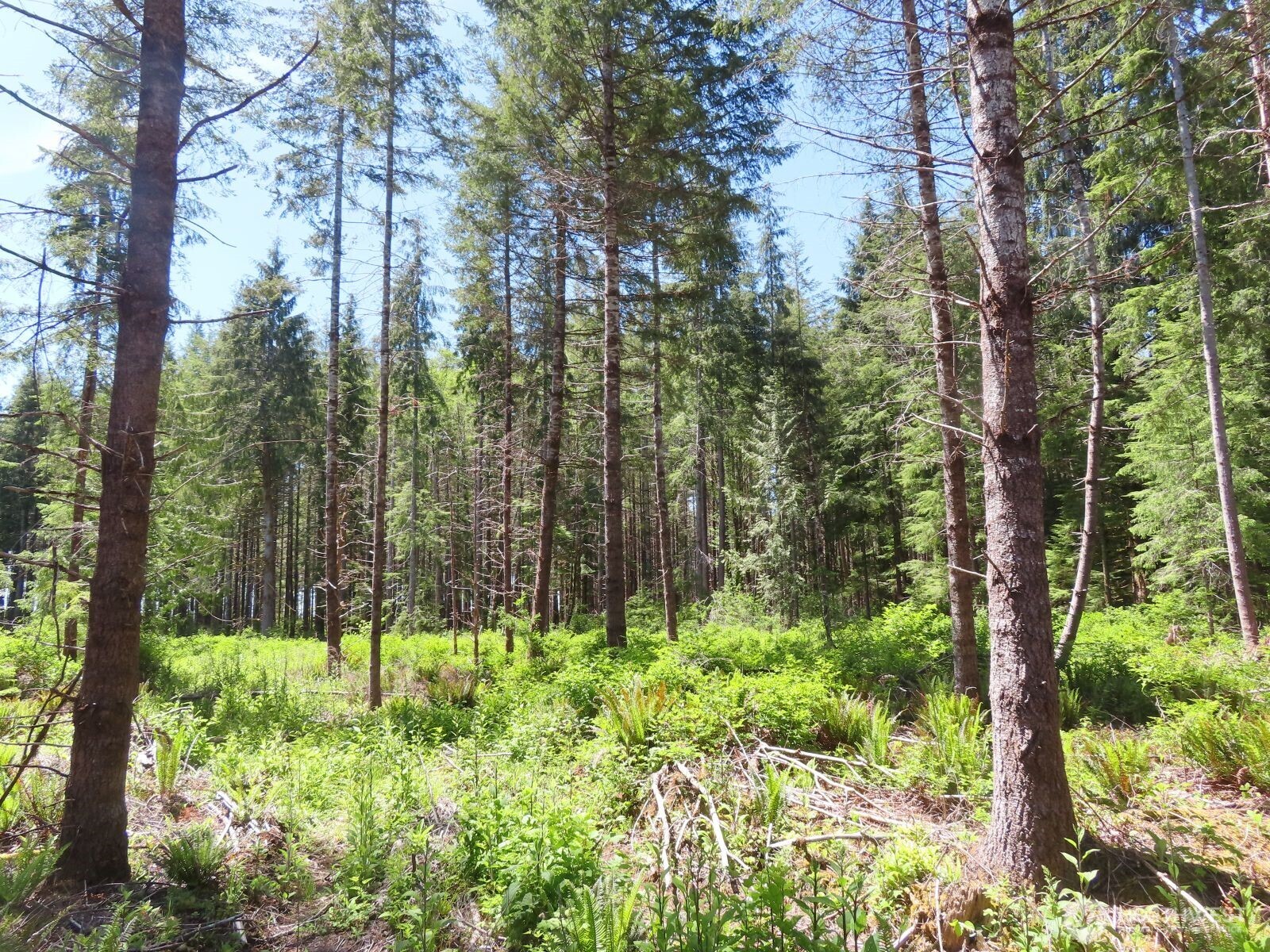 1515 Kirkpatrick Road Hoquiam, WA 98550 - Photo 13 of 39