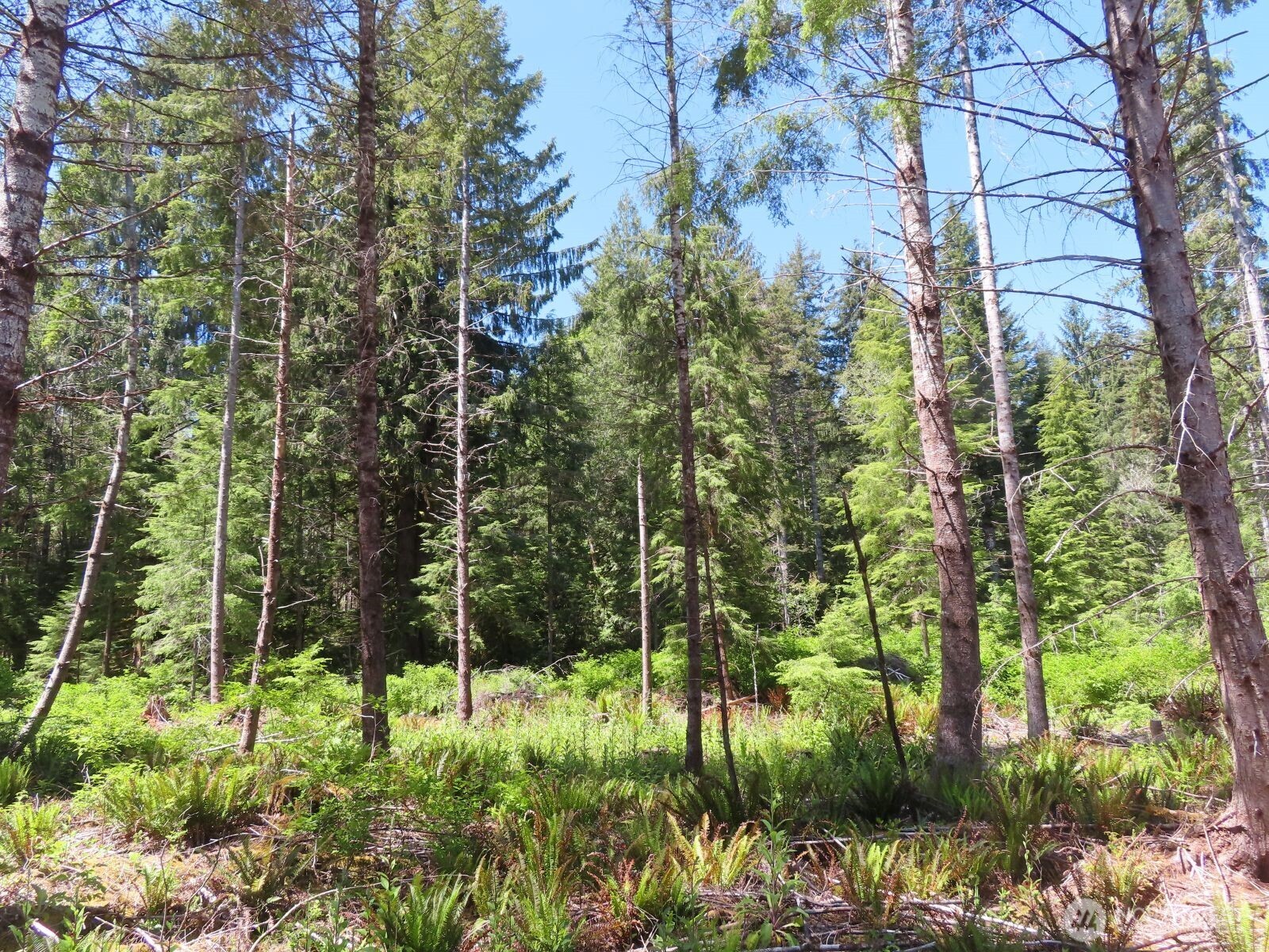 1515 Kirkpatrick Road Hoquiam, WA 98550 - Photo 14 of 39