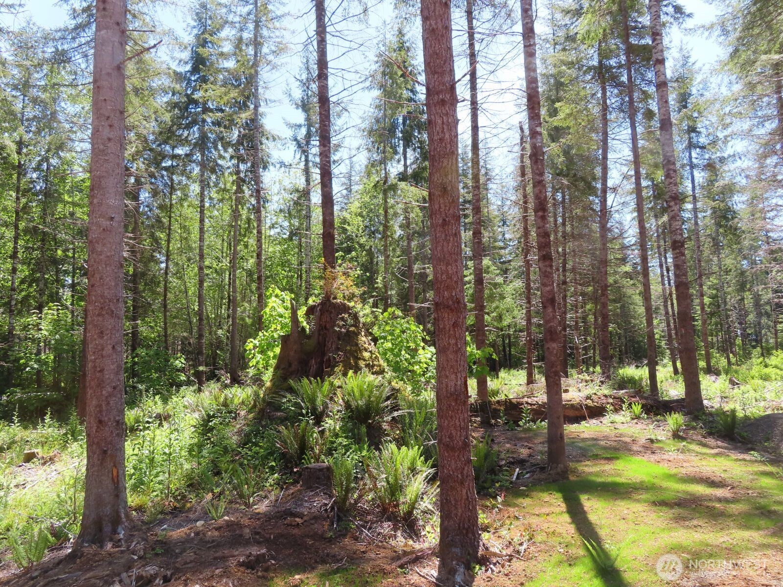 1515 Kirkpatrick Road Hoquiam, WA 98550 - Photo 20 of 39