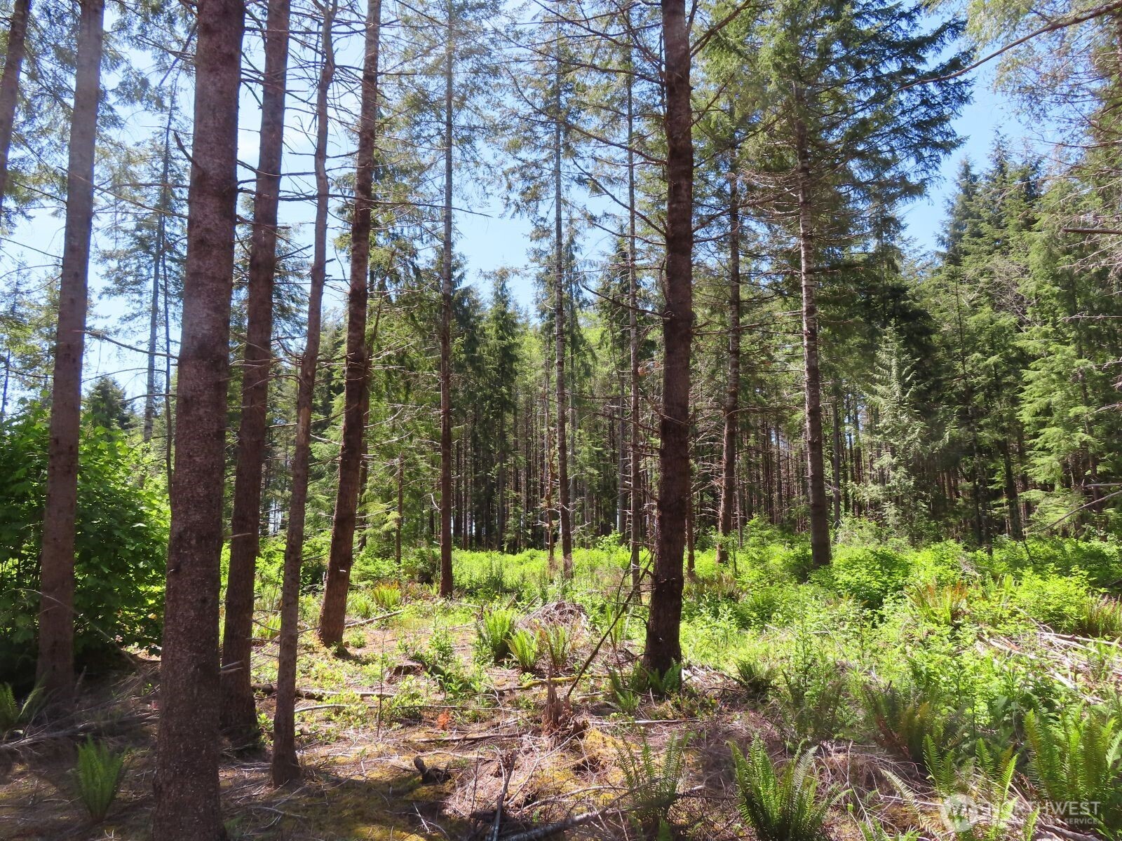 1515 Kirkpatrick Road Hoquiam, WA 98550 - Photo 2 of 39