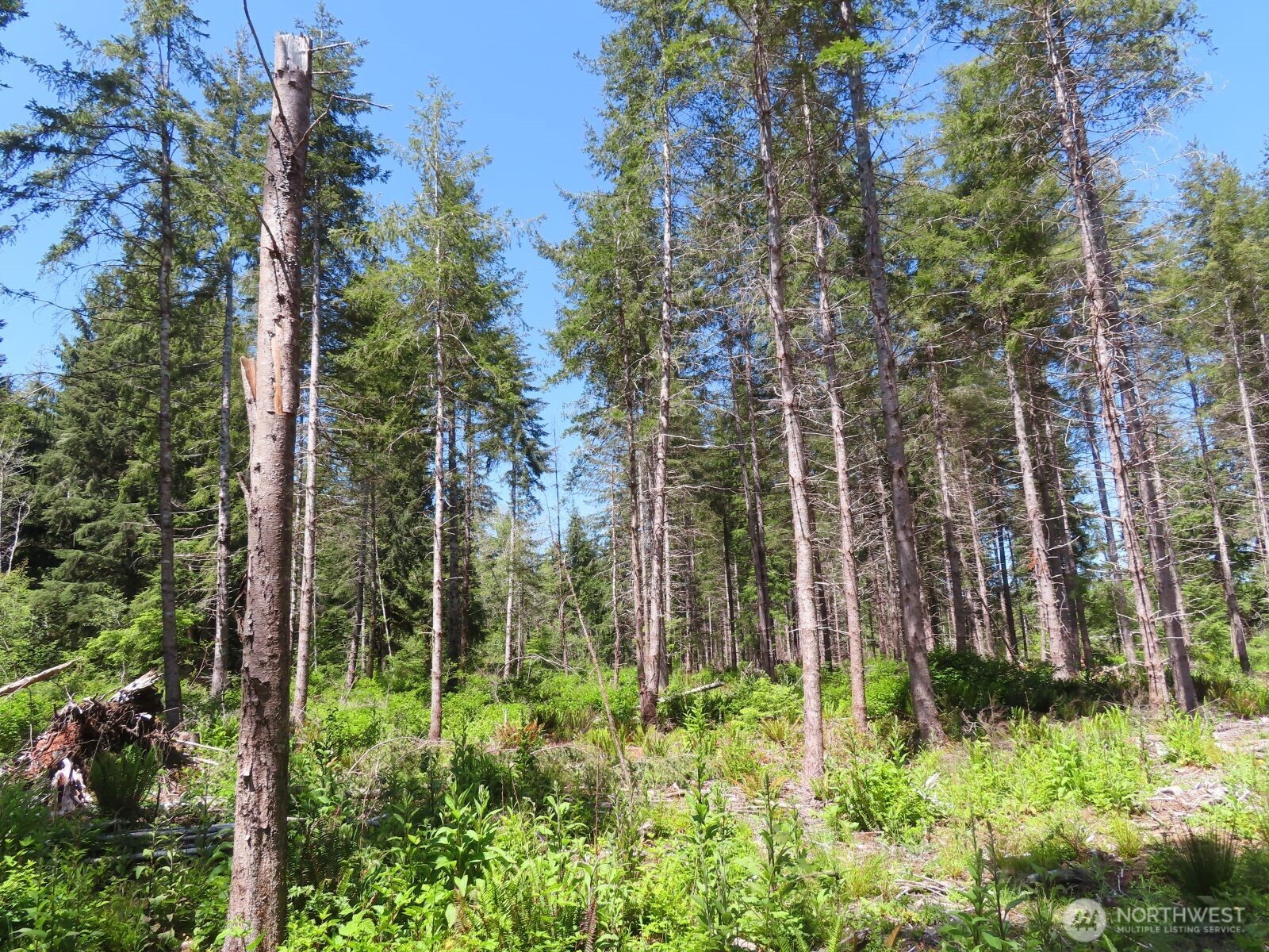 1515 Kirkpatrick Road Hoquiam, WA 98550 - Photo 26 of 39