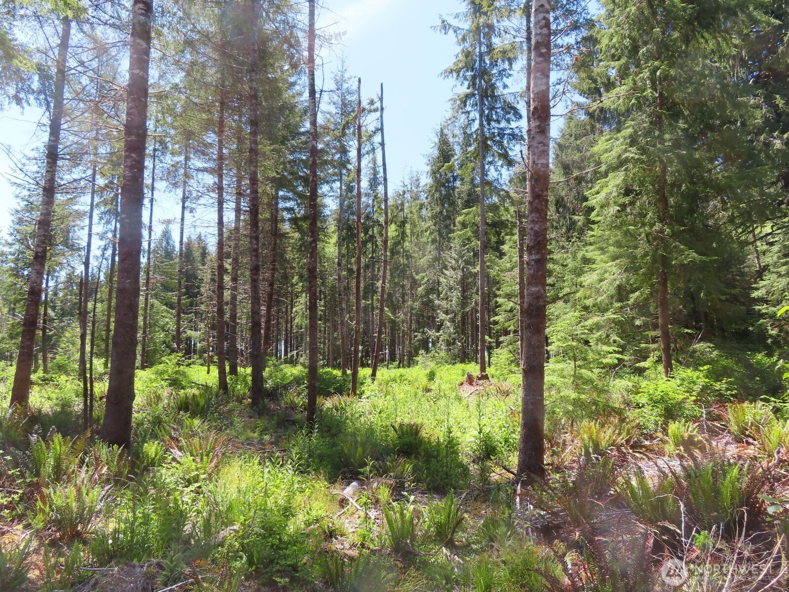 1515 Kirkpatrick Road Hoquiam, WA 98550 - Photo 4 of 39