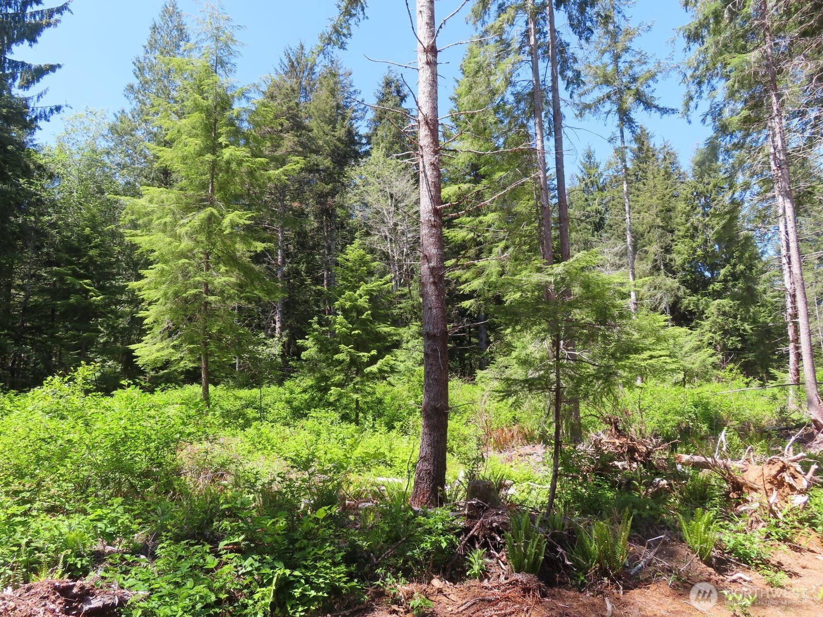 1515 Kirkpatrick Road Hoquiam, WA 98550 - Photo 6 of 39