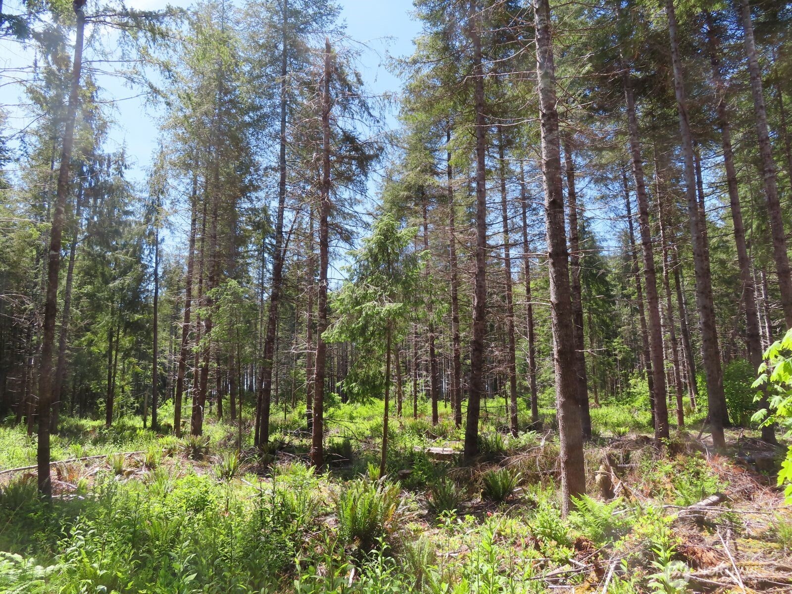 1515 Kirkpatrick Road Hoquiam, WA 98550 - Photo 9 of 39