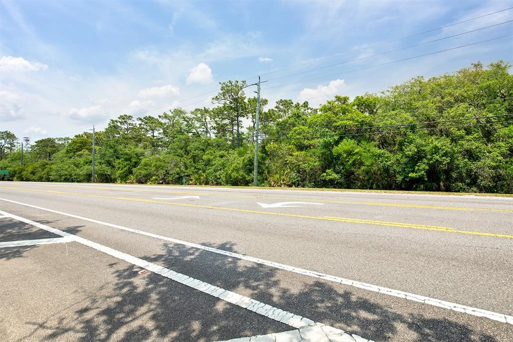 Stevens Street Chuluota, FL 32766 - Photo 8 of 16 a view of a yard