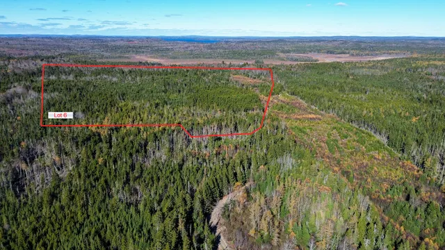 $579,000 | Lot 1-6 Holmes Bay Farm, Whiting, ME 04691