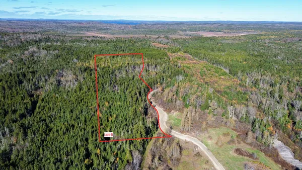 $579,000 | Lot 1-6 Holmes Bay Farm, Whiting, ME 04691