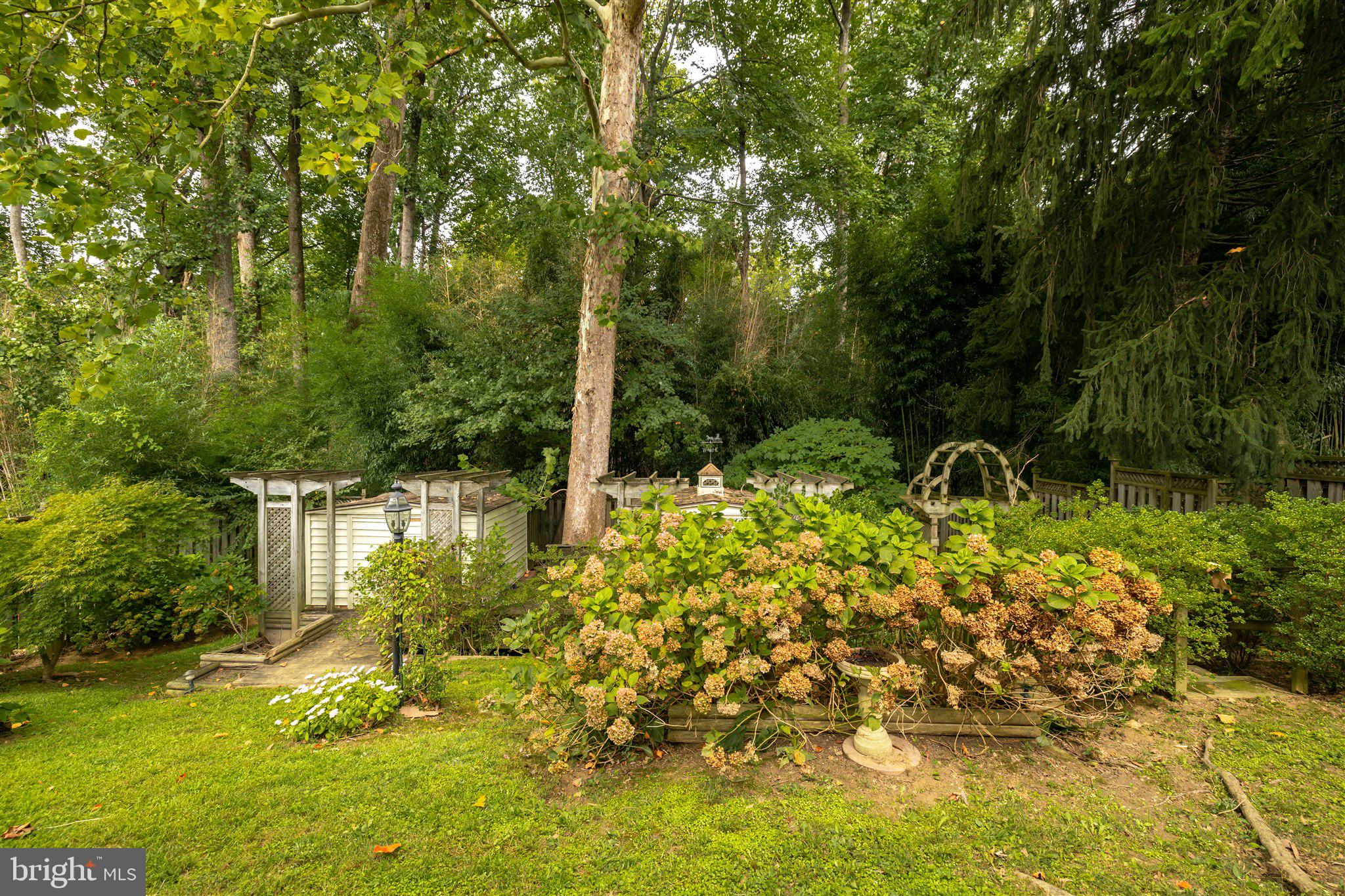 3907 Littleton Street Silver Spring, MD 20906 - Photo 38 of 49 view from Deck, parklands and 2 sheds!