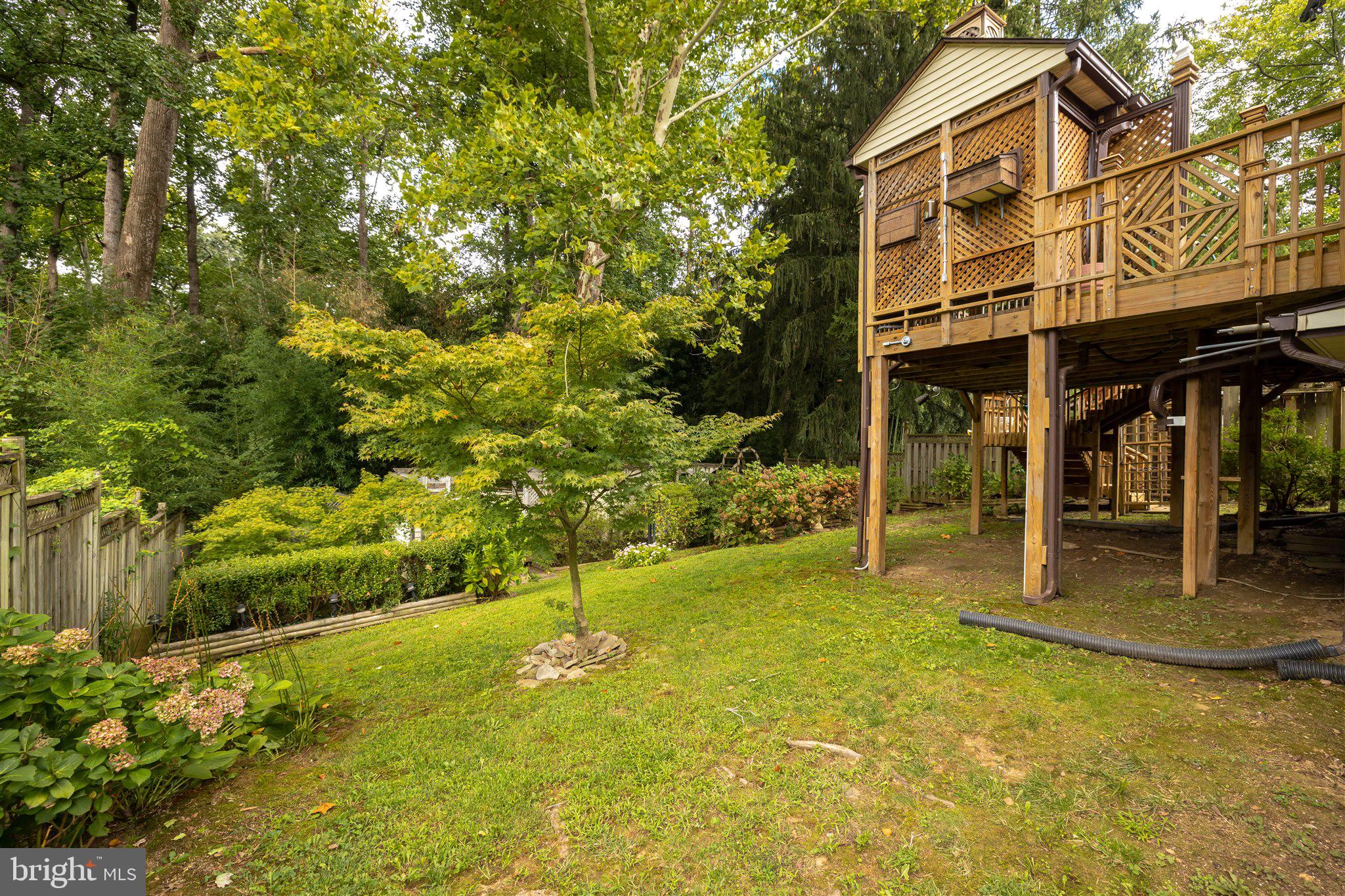 3907 Littleton Street Silver Spring, MD 20906 - Photo 45 of 49 Gallery Image 45