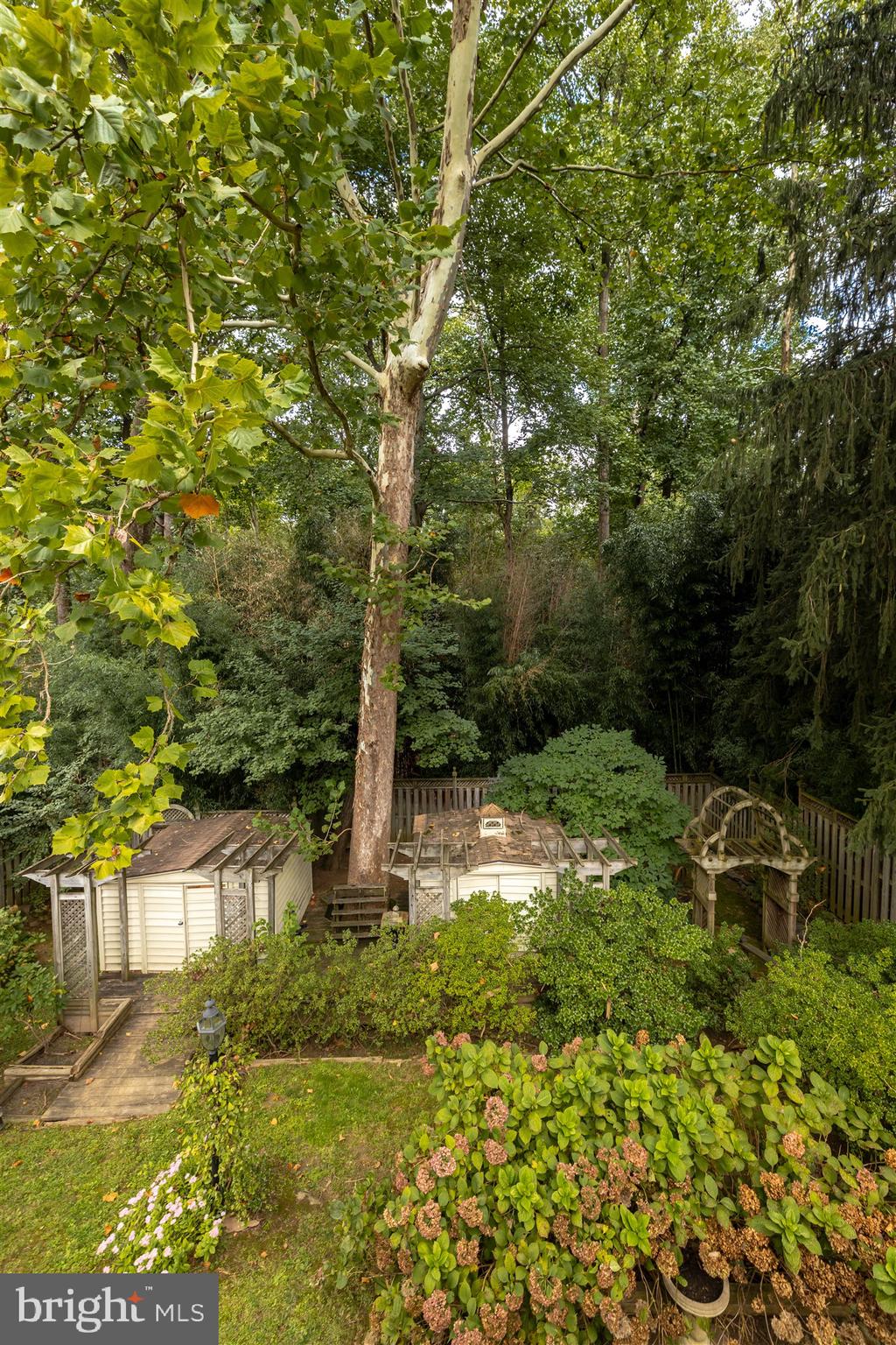 3907 Littleton Street Silver Spring, MD 20906 - Photo 46 of 49 Gallery Image 46