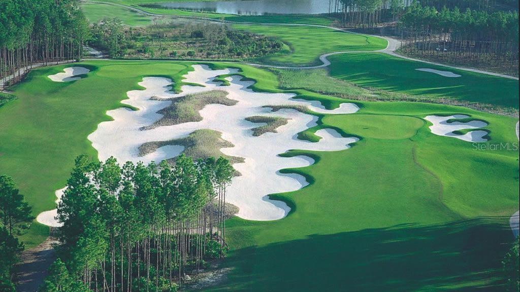 8 Rue Renoir Palm Coast, FL 32137 - Photo 54 of 54