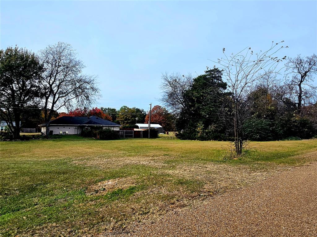 Tbd Oak Ridge Road Mabank, TX 75156 - Photo 4 of 8
