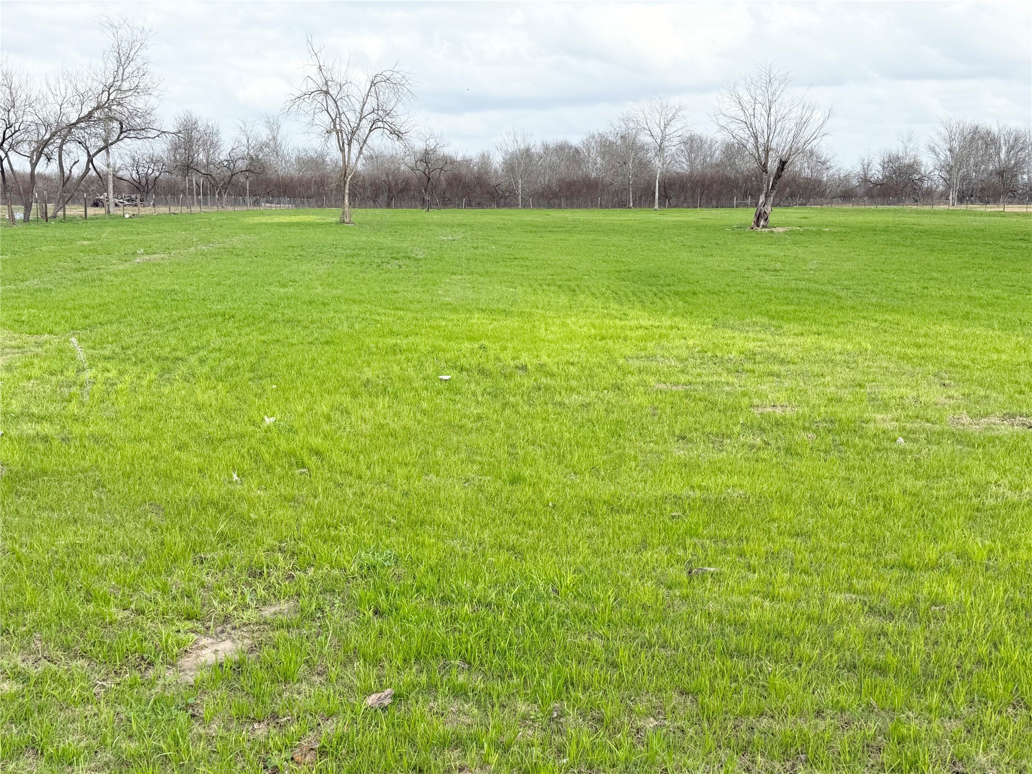 8570 Sunny Side Road Brookshire, TX 77423 - Photo 24 of 37