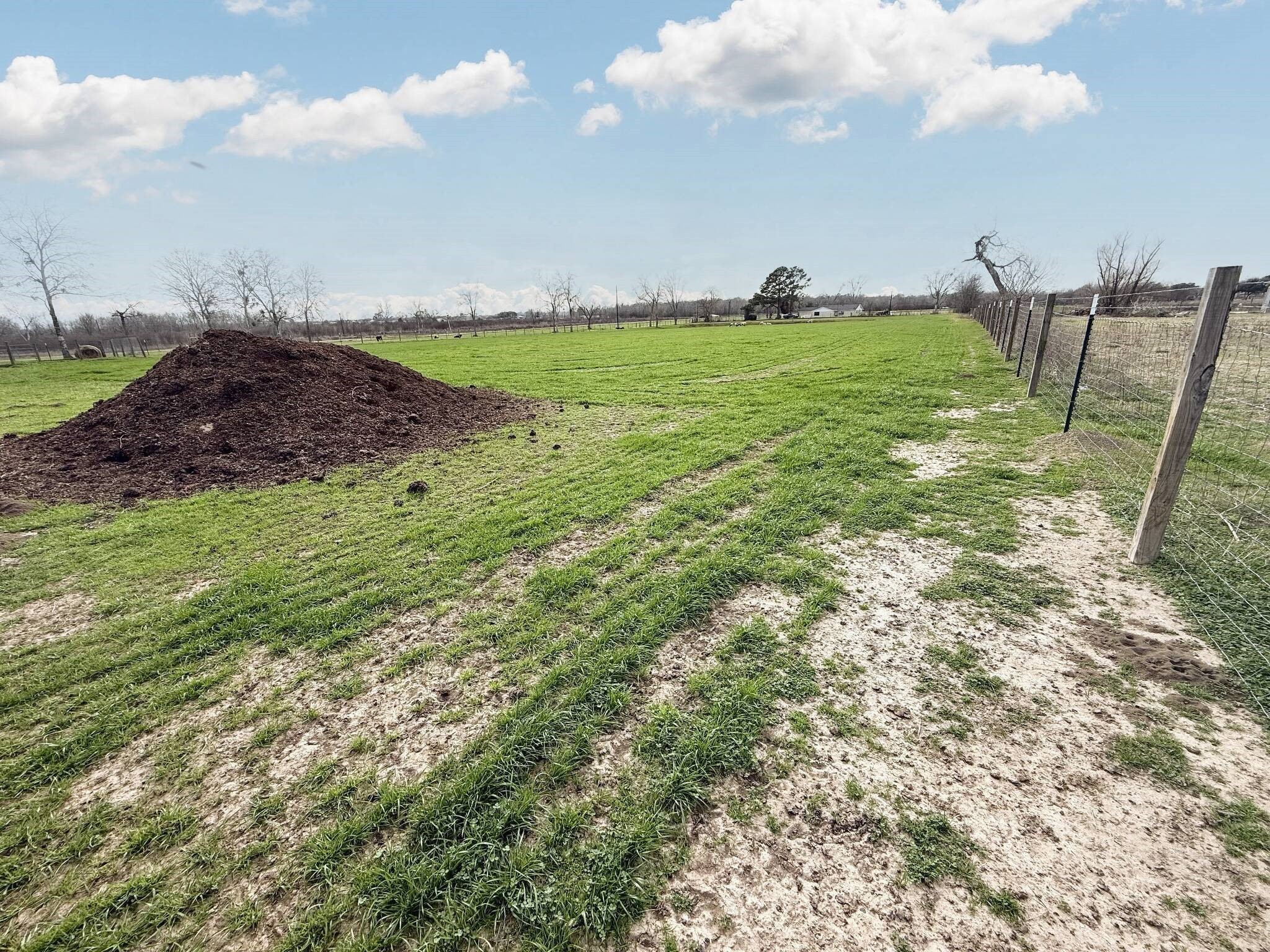 8570 Sunny Side Road Brookshire, TX 77423 - Photo 30 of 37