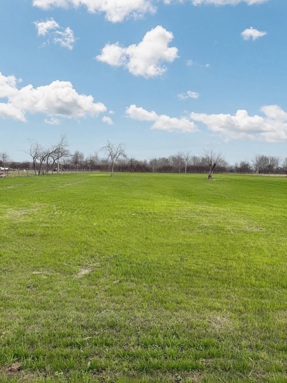 8570 Sunny Side Road Brookshire, TX 77423 - Photo 32 of 37