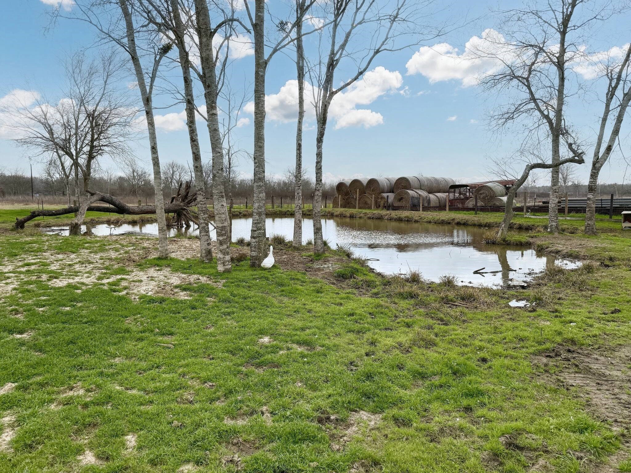 8570 Sunny Side Road Brookshire, TX 77423 - Photo 33 of 37