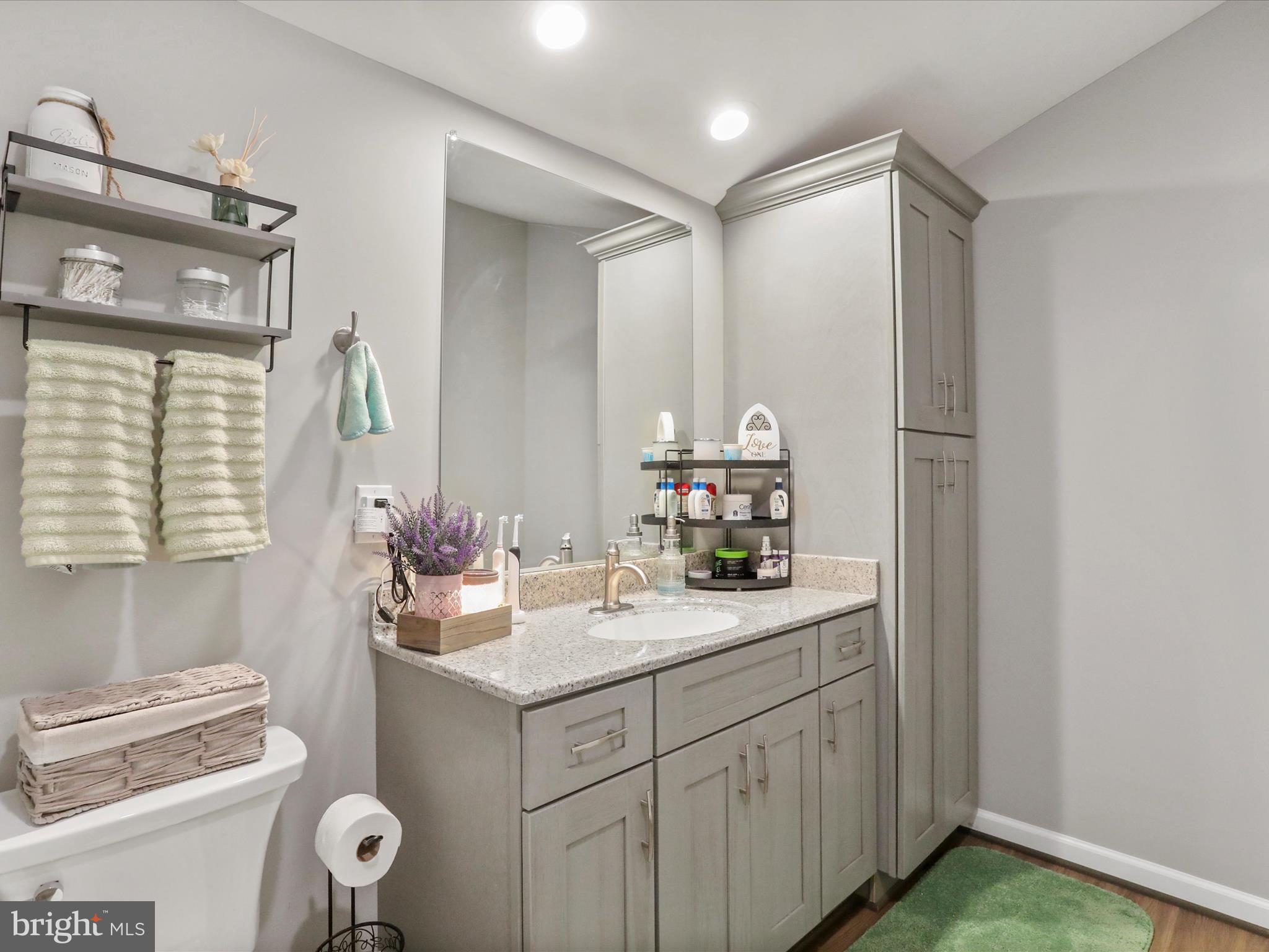 306 Timberline Ridge Road Star Tannery, VA 22654 - Photo 40 of 75 Master Bath