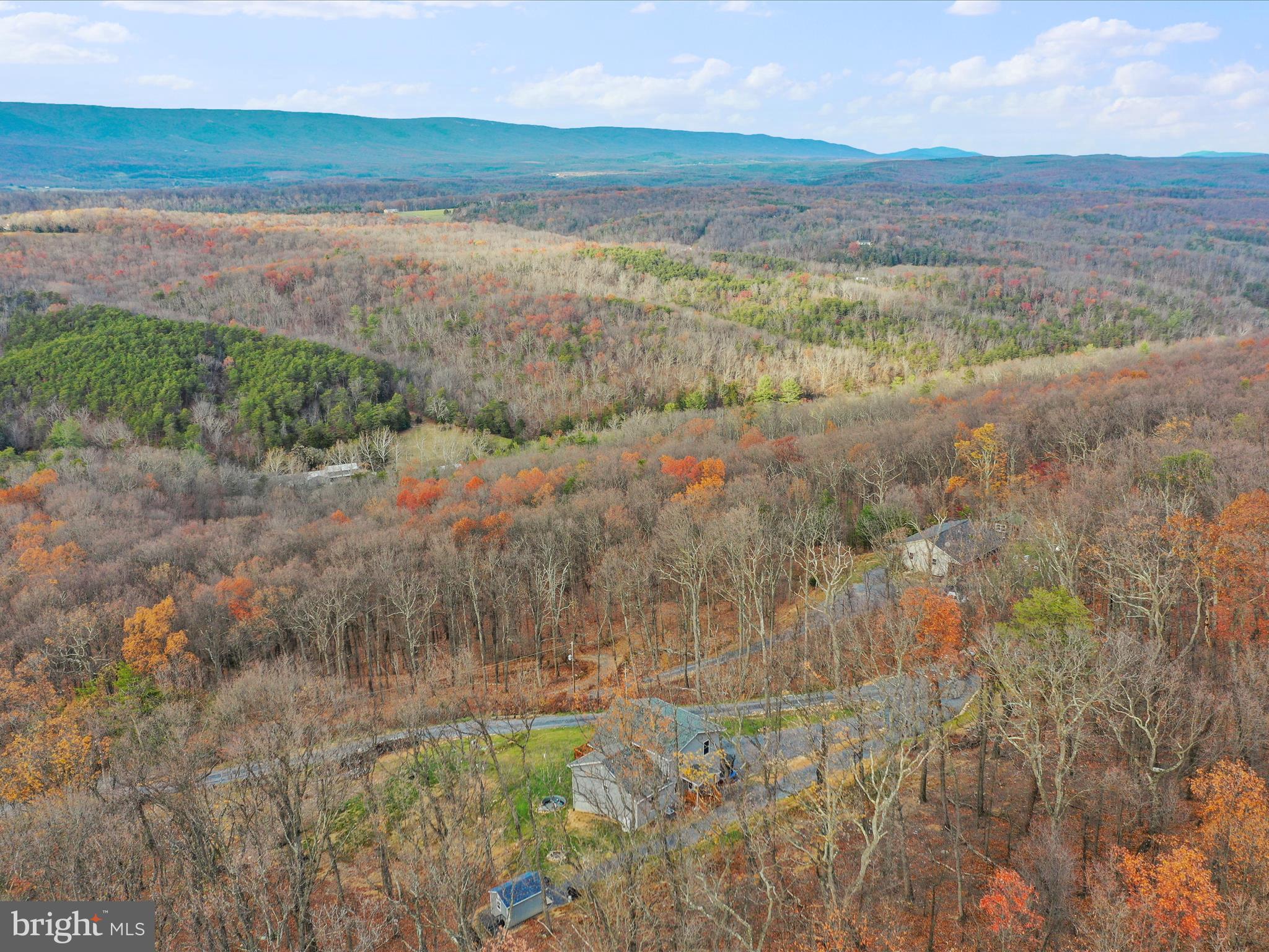 306 Timberline Ridge Road Star Tannery, VA 22654 - Photo 69 of 75 Gallery Image 69