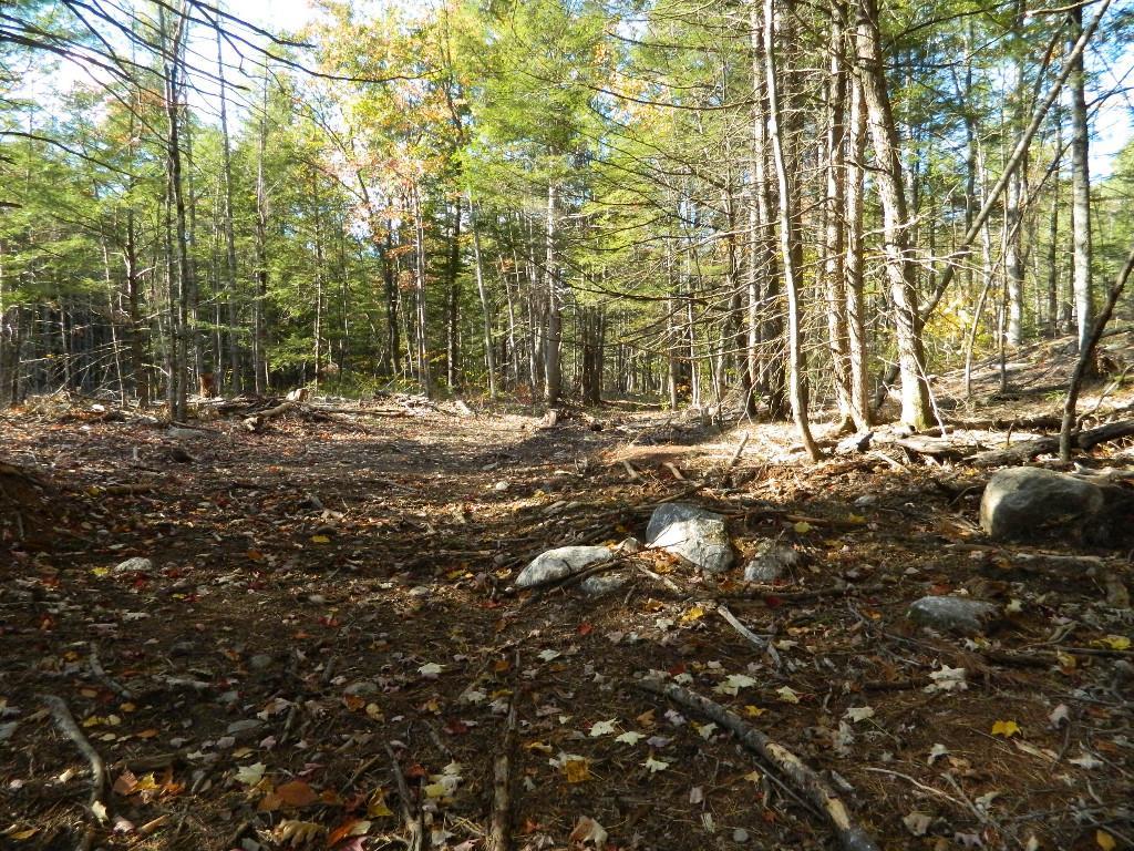125 Douglas Mill Road Porter, ME 04068 - Photo 11 of 15 Photo
