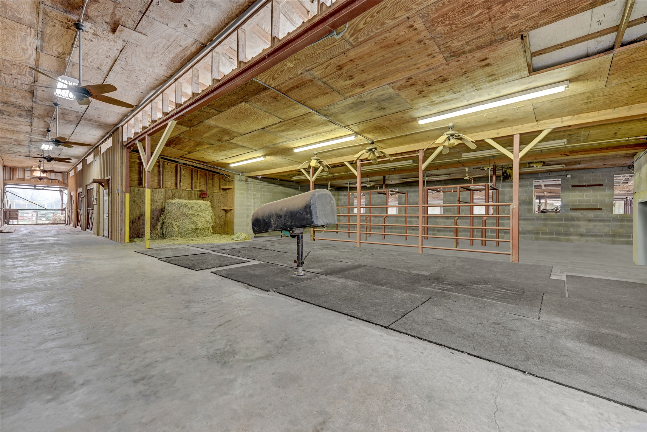 9950 Palestine Road Brenham, TX 77833 - Photo 45 of 49 Breeding area inside the horse barn shows off the mount, 3 mare stocks with foal stalls and adjacent vets office. The barn also has a tack room, an additional storage room with washer/dryer hookups, an area that houses a commercial washer/dryer, and an FFA livestock area complete with 2 holding pens, squeeze, and electric scale.
