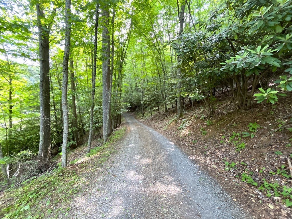 76 Captains Gate Road Willis, VA 24380 - Photo 15 of 50 Gallery Image 15