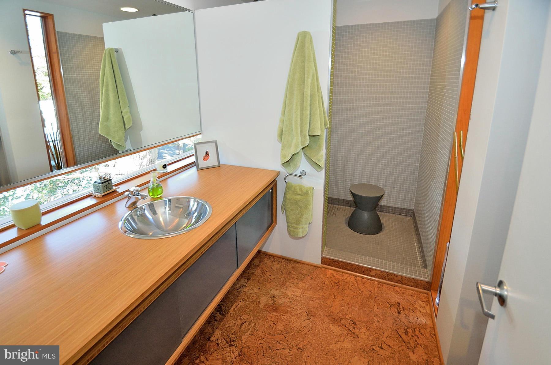 1926 Marthas Road Alexandria, VA 22307 - Photo 18 of 23 Bath (Master)