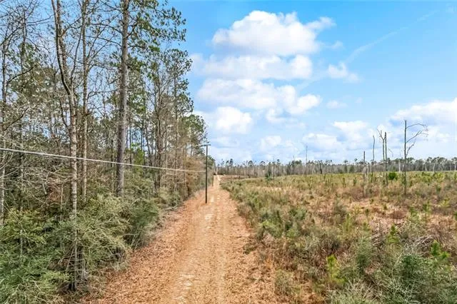 $350,000 | 57316 Paul Williams Road, Husser, LA 70442