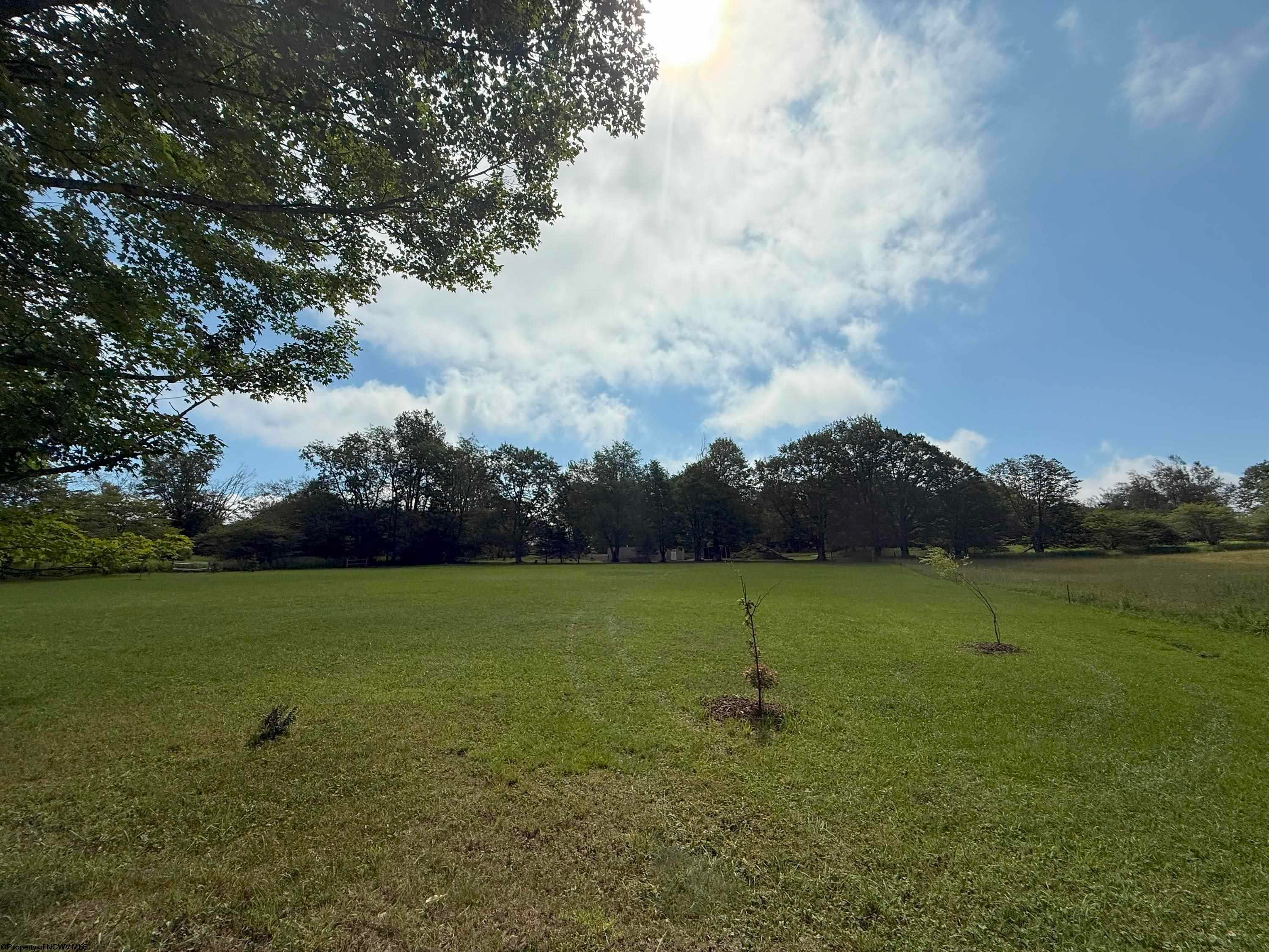 188 Pointy Knob Road Davis, WV 26260 - Photo 15 of 19 Gallery Image 15