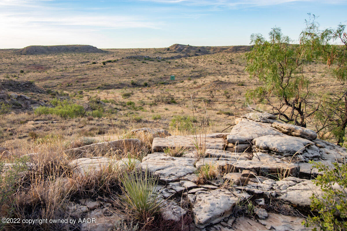 Lazy Arrow B Ranch Amarillo, TX 79124 - Photo 19 of 59 Lazy_Arrow_B_Ranch-036