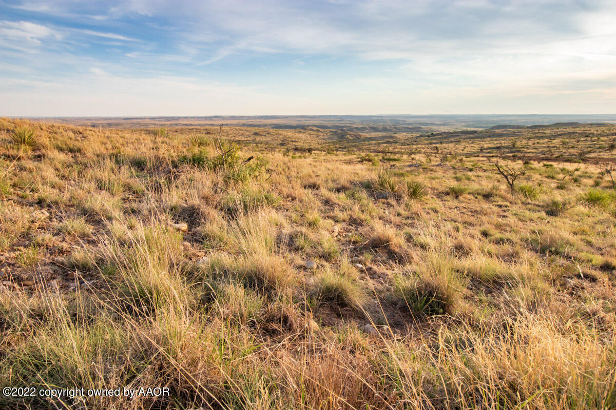 Lazy Arrow B Ranch Amarillo, TX 79124 - Photo 22 of 59 Lazy_Arrow_B_Ranch-015
