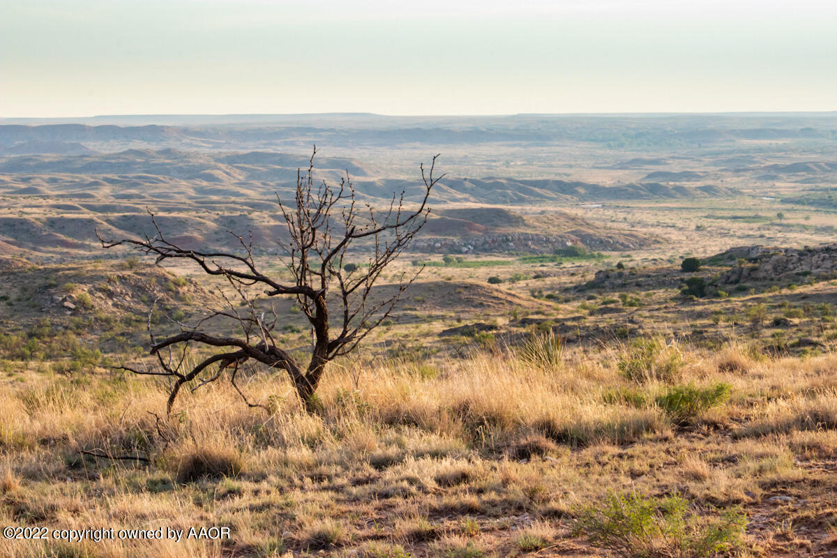 Lazy Arrow B Ranch Amarillo, TX 79124 - Photo 23 of 59 a view of an ocean
