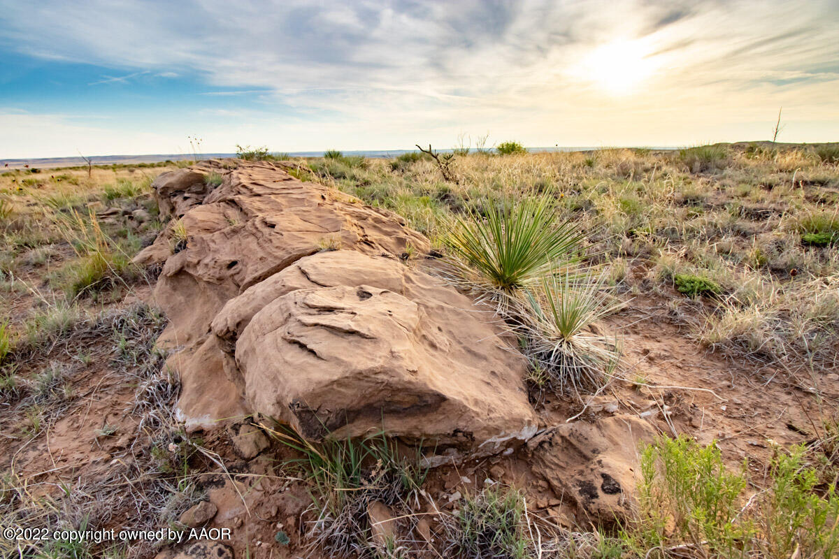 Lazy Arrow B Ranch Amarillo, TX 79124 - Photo 26 of 59 an aerial view of houses with trees