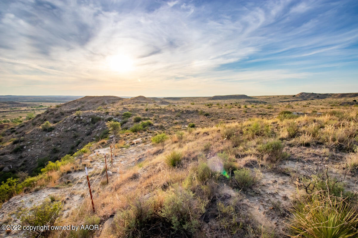 Lazy Arrow B Ranch Amarillo, TX 79124 - Photo 4 of 59 an aerial view of houses covered in trees