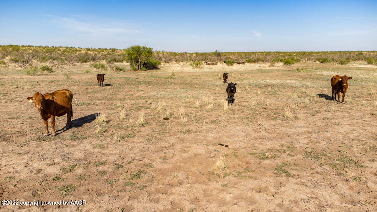 Lazy Arrow B Ranch Amarillo, TX 79124 - Photo 53 of 59 a view of beach and ocean