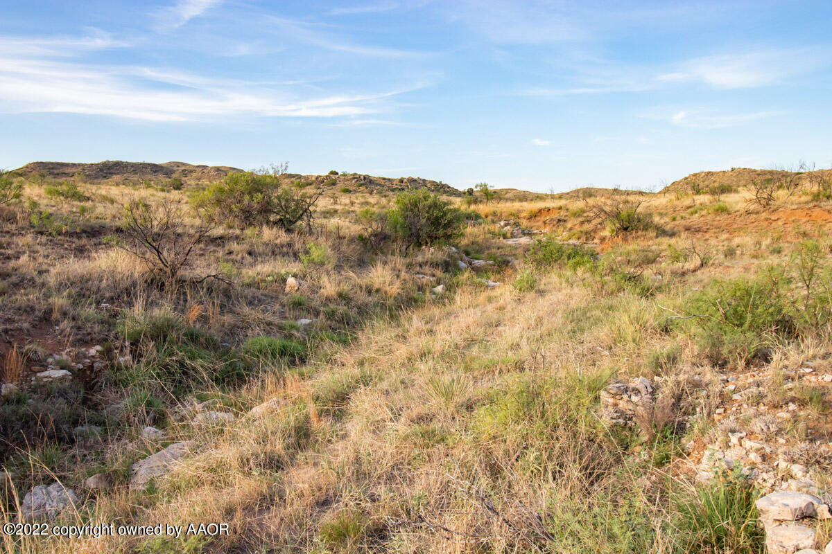 Lazy Arrow B Ranch Amarillo, TX 79124 - Photo 7 of 59 an aerial view of houses covered in trees