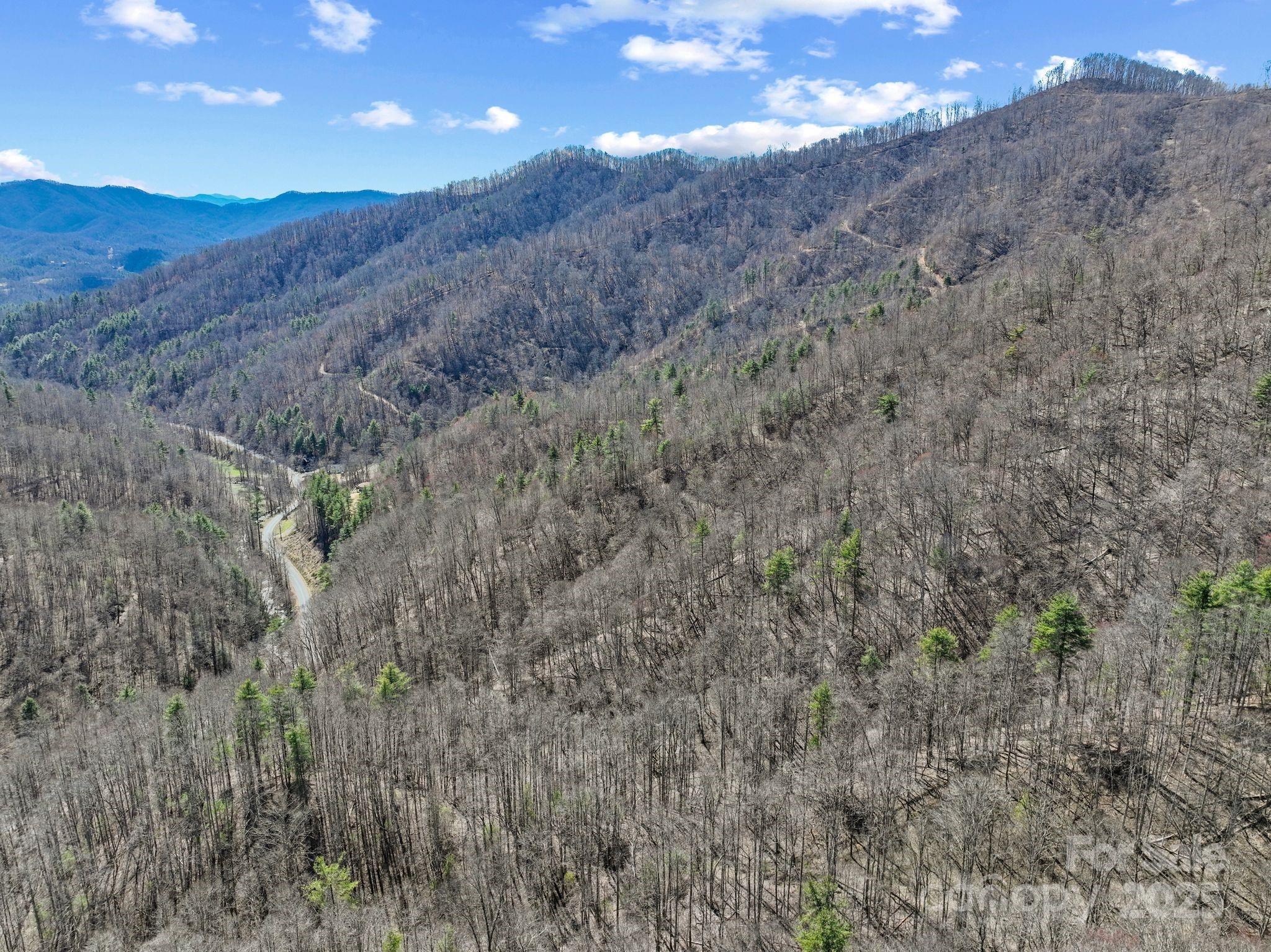 902 Spillcorn Road Marshall, NC 28753 - Photo 9 of 18