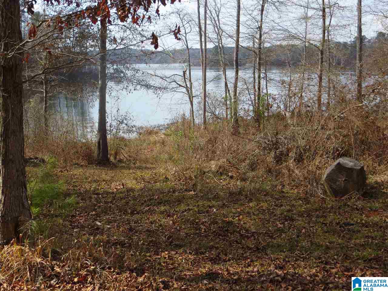 Lot 12 Eagle Mountain Road, Unit 12 Alexander City, AL 35010 - Photo 3 of 7