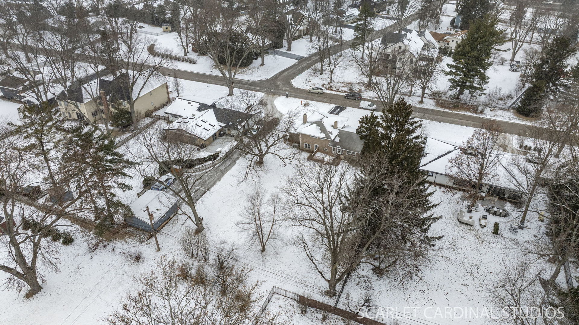 1210 Lawnmeadow Lane Naperville, IL 60540 - Photo 35 of 37 a view of tree