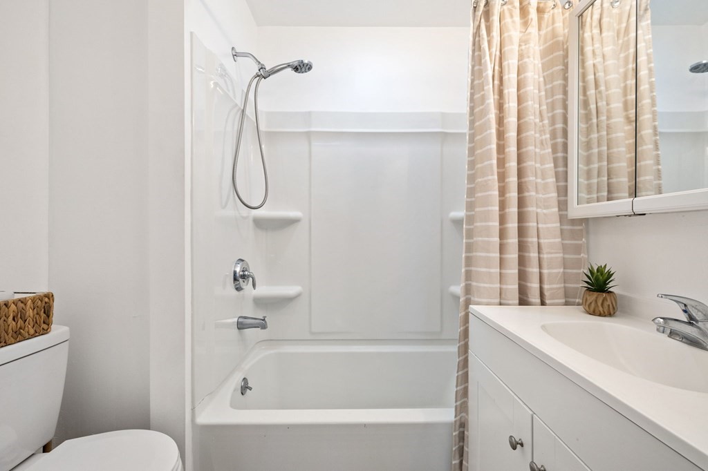 253 Mammoth Road Lowell, MA 01854 - Photo 39 of 42 a bathroom with a sink a toilet and a bathtub