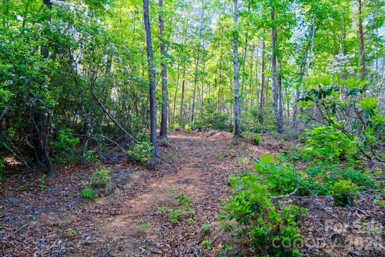 3815 Bat Cave Road Old Fort, NC 28762 - Photo 41 of 45