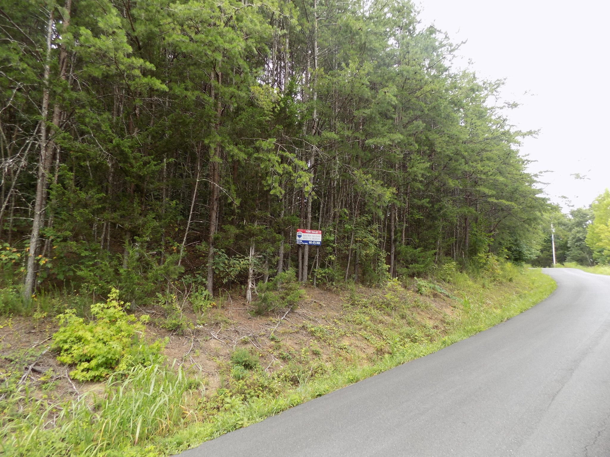 67 Alpha Road Newport, TN 37821 - Photo 11 of 15 Gallery Image 11