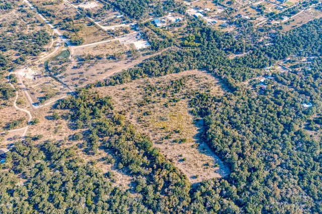 an aerial view of forest